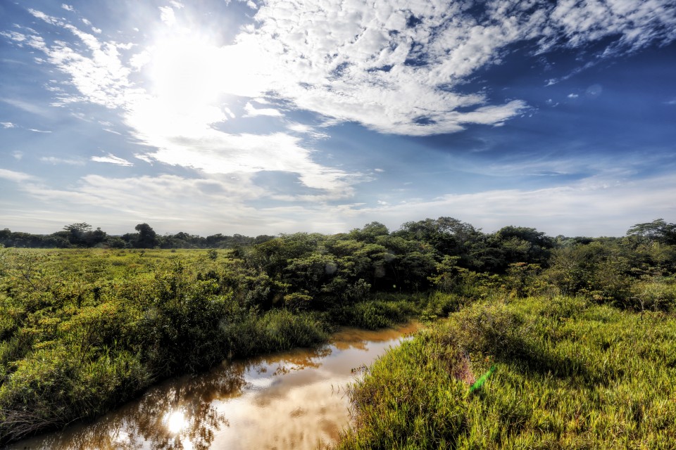 Um anagrama para vocês: sagradas ou rasgadas?