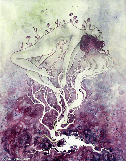 Dá para re-costurar bolhas!