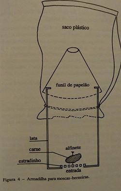 Receitinha contra berne