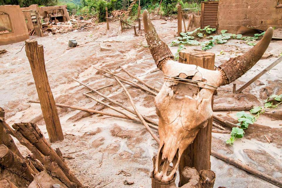 Dicas antes de Votar #2018