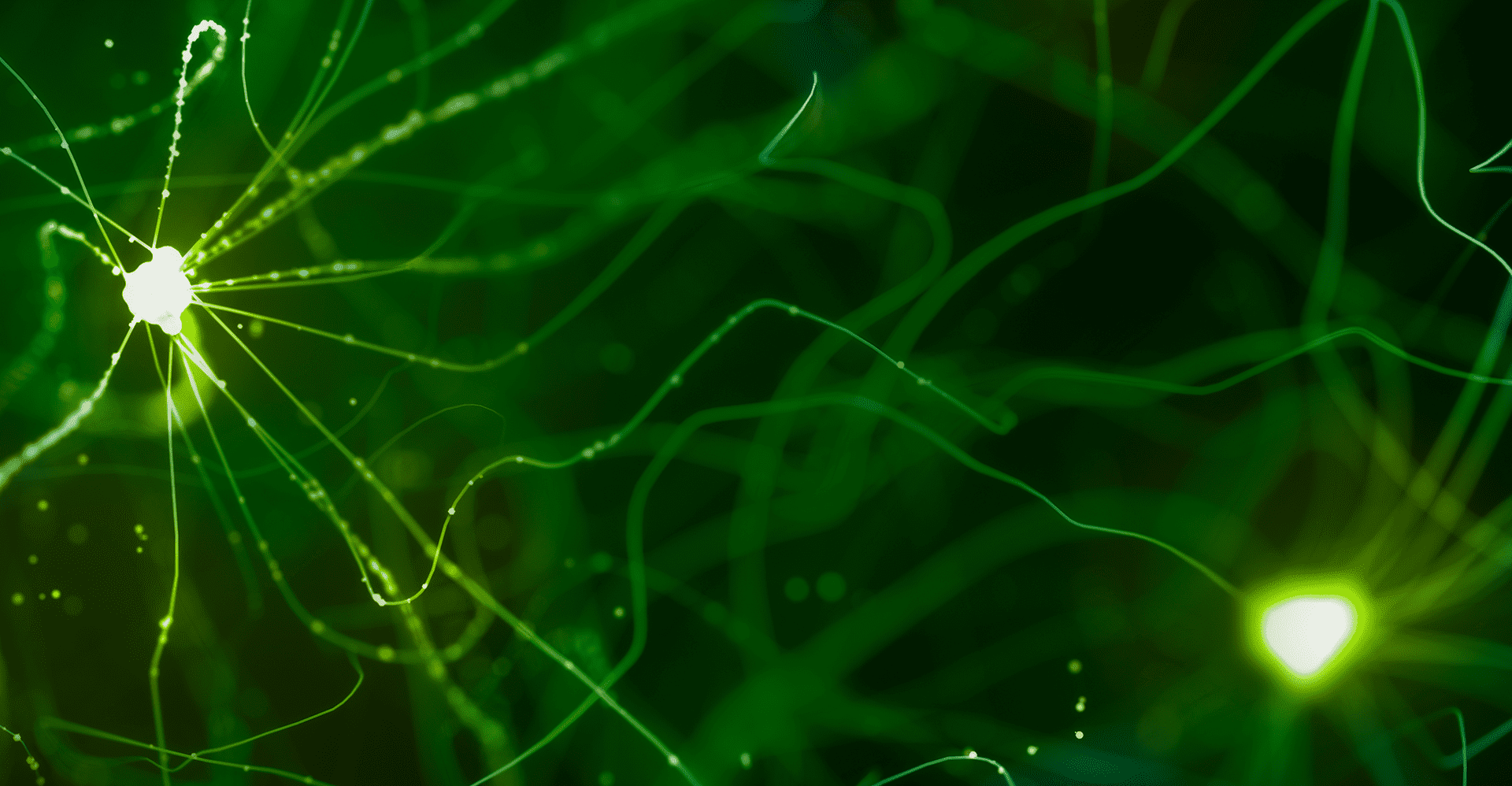 Um curso interessante na medicina endocanabinóide