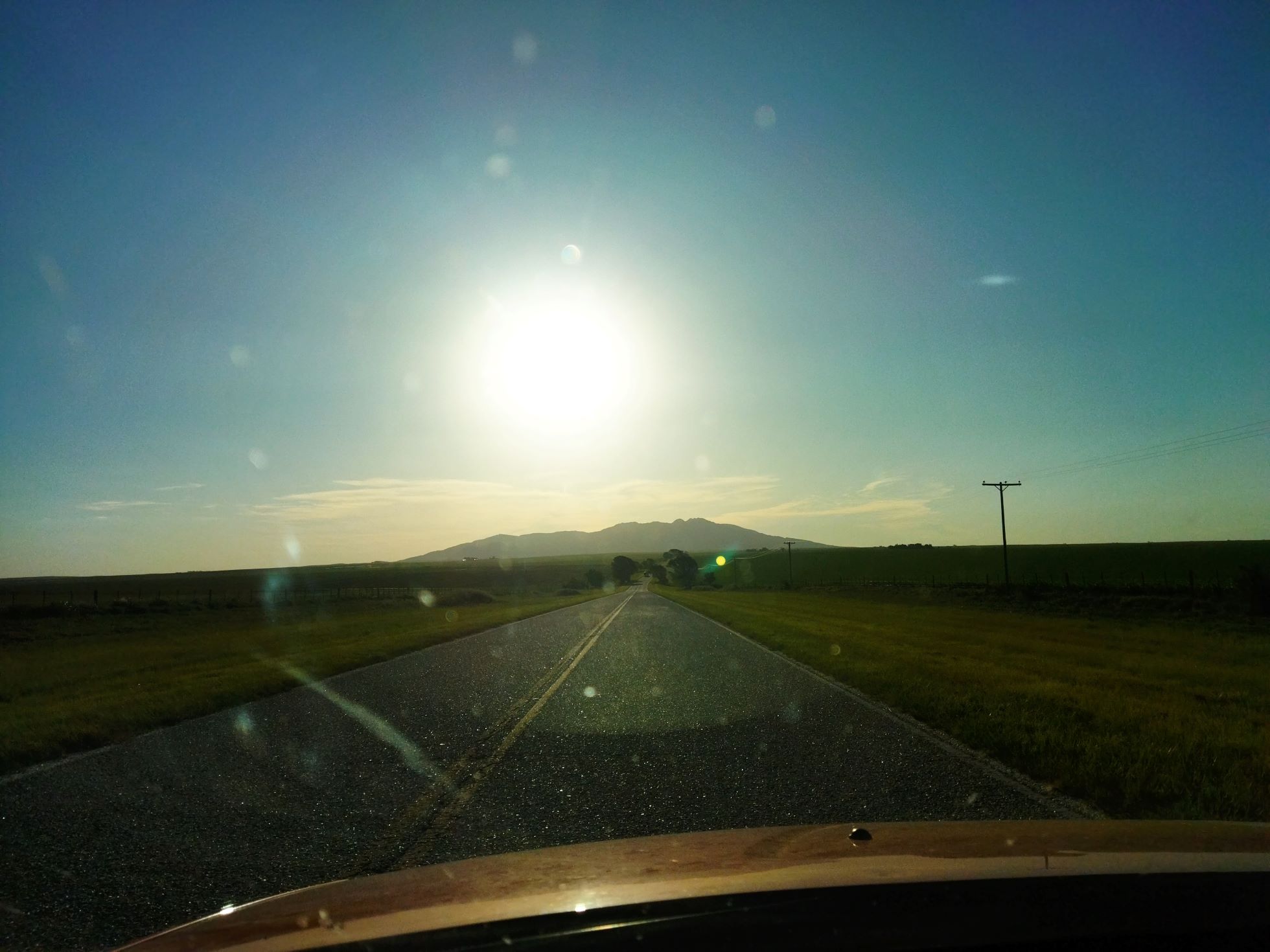 festas felizes com os campeões do mundo